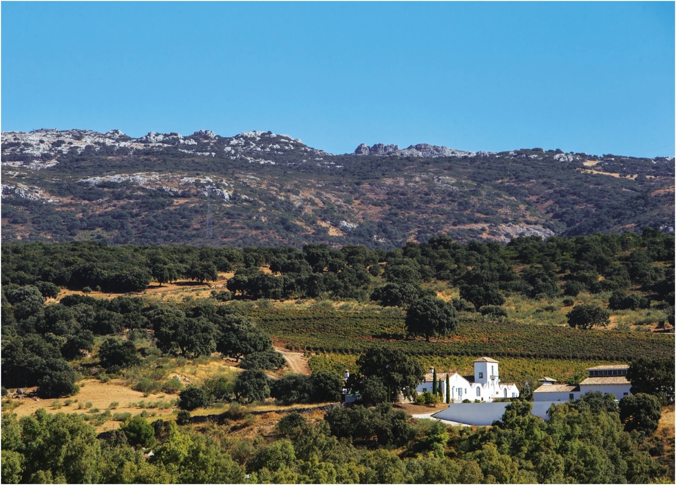 Cortijo Los Aguilares